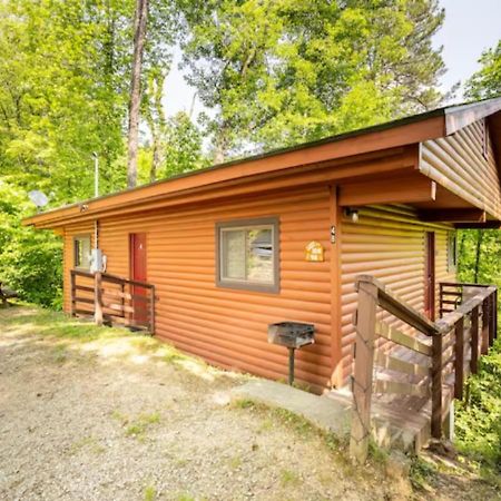 Lazy Bear Cabin Near Nantahala Outdoor Center And Bryson City Dış mekan fotoğraf