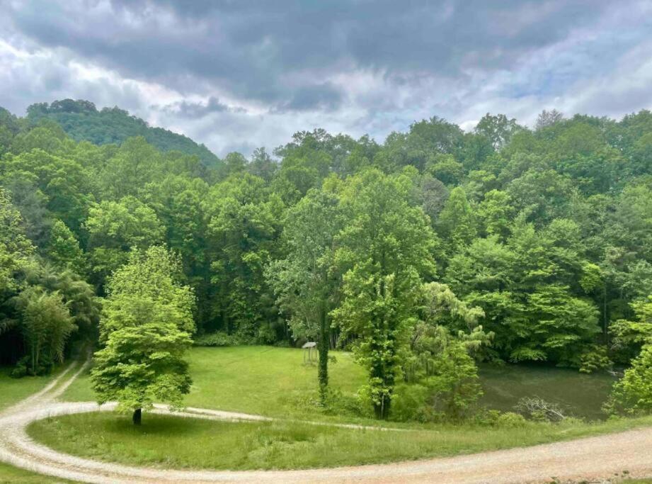 Lazy Bear Cabin Near Nantahala Outdoor Center And Bryson City Dış mekan fotoğraf