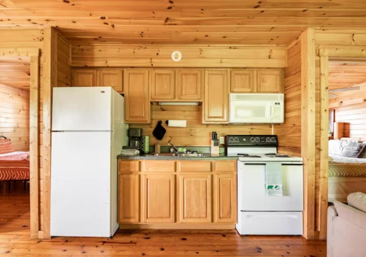 Lazy Bear Cabin Near Nantahala Outdoor Center And Bryson City Dış mekan fotoğraf
